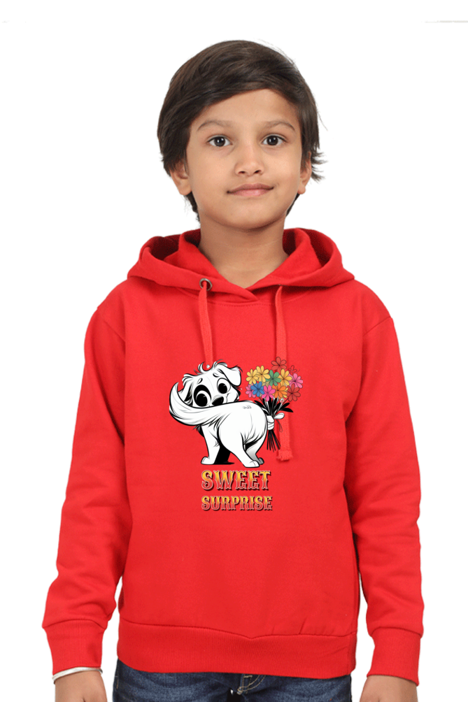 Boy's Hoodie Red