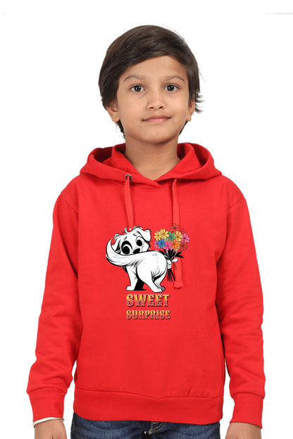 Boy's Hoodie Red