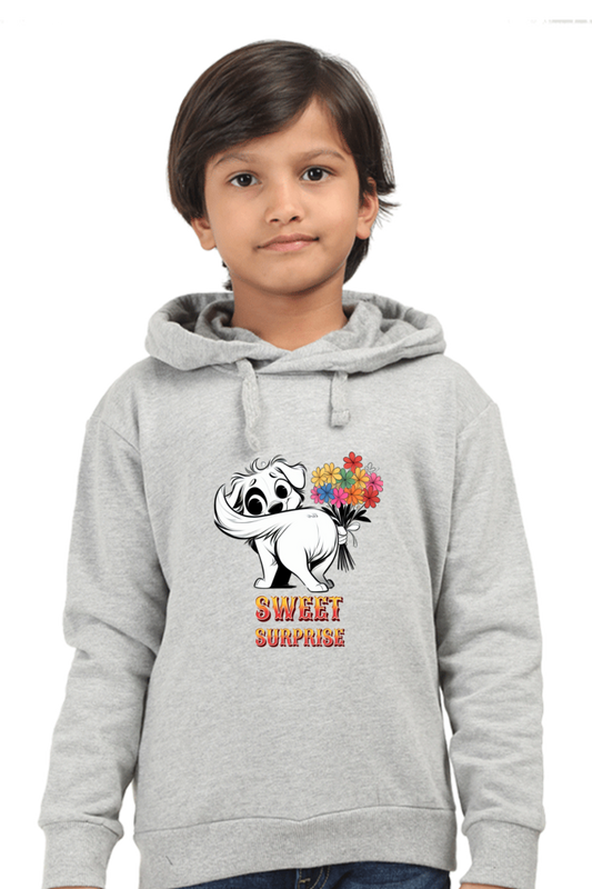 Boy's Hoodie Grey Melange