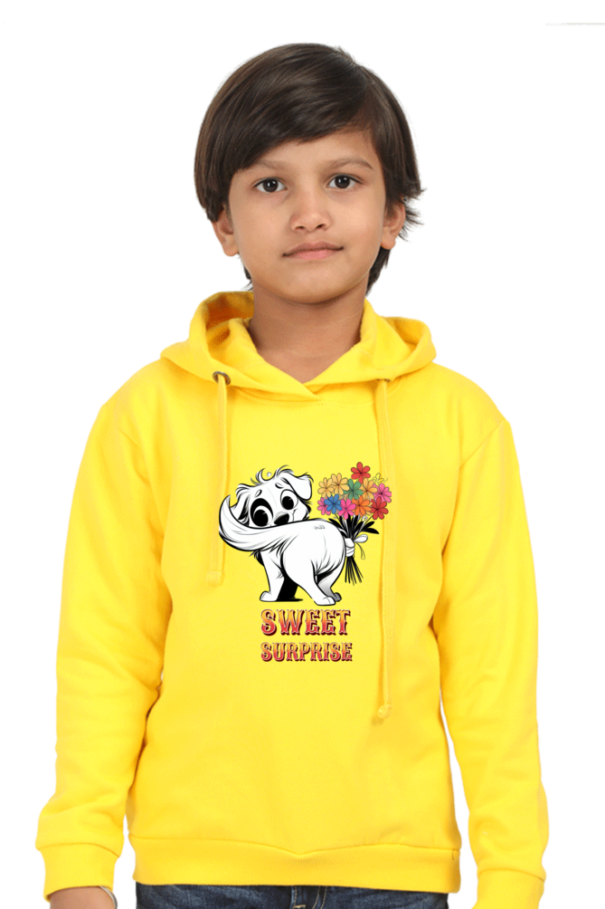 Boy's Hoodie