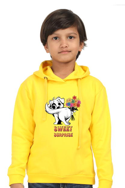 Boy's Hoodie